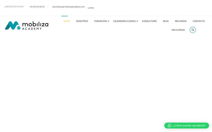 Screenshot of mobilizaacademy.com