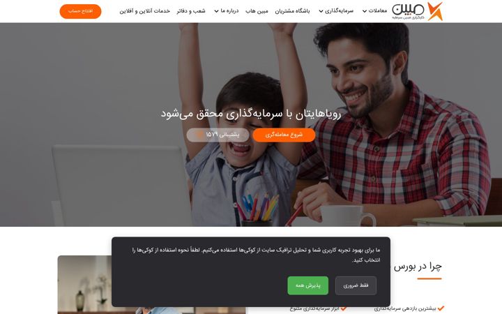 Screenshot of mobinsb.ir