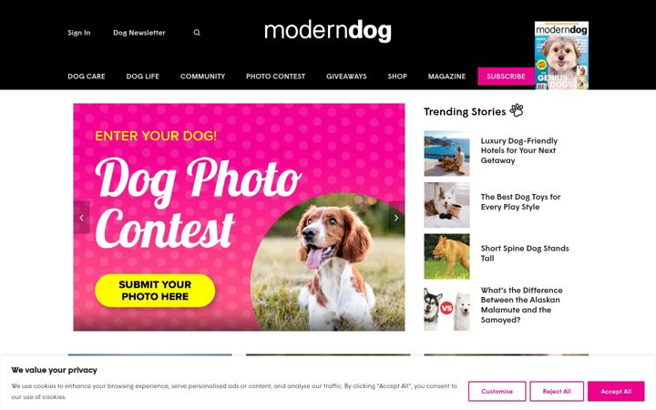 Screenshot of moderndogmagazine.com
