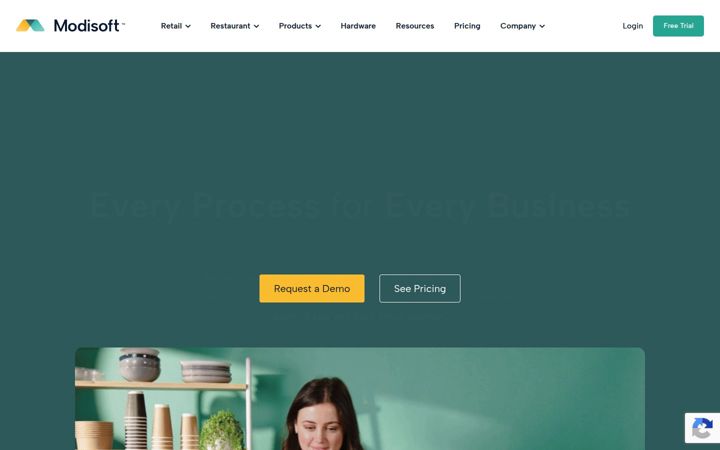 Screenshot of modisoft.com