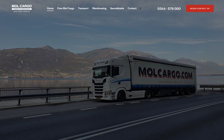 Skjermbilde av molcargo.com