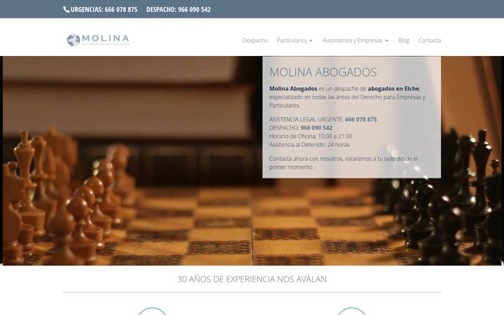 Screenshot of molinaabogados.com
