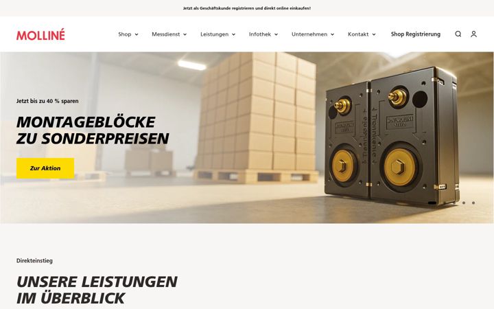 Screenshot of molline.de
