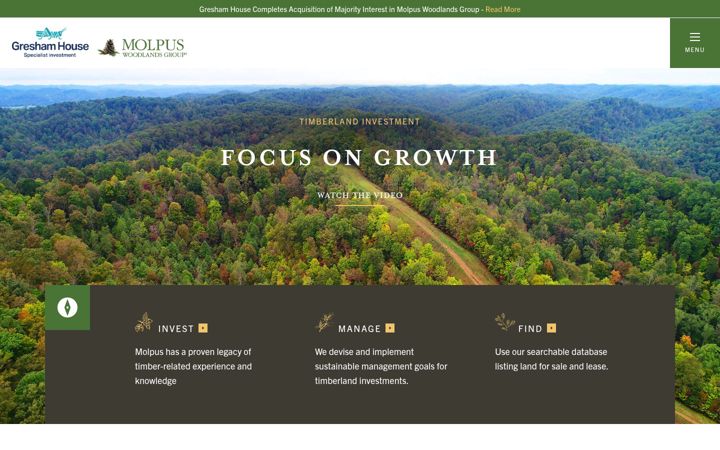Screenshot of molpus.com