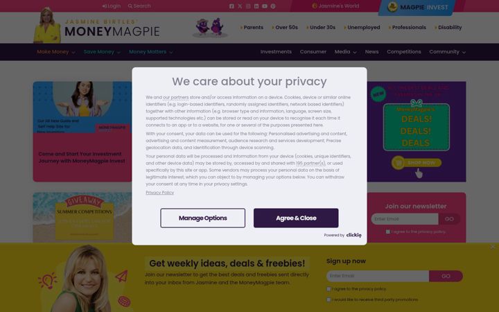 Screenshot of moneymagpie.com