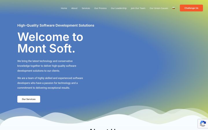 Ekrano kopija mont-soft.com
