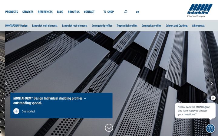 Screenshot of montana-ag.ch