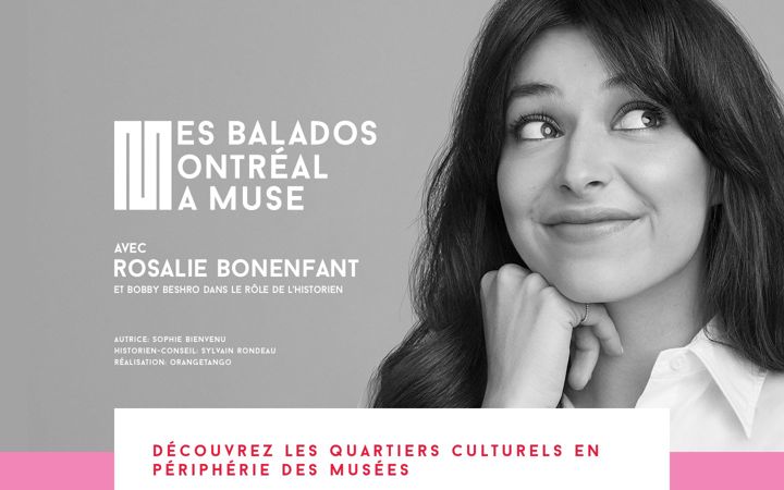 Snímek obrazovky montrealmamuse.org