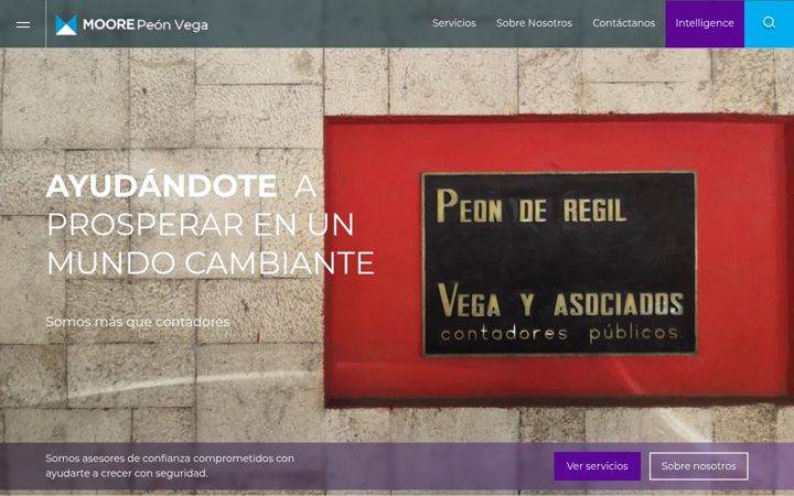Skjámynd af moore-peonvega.com