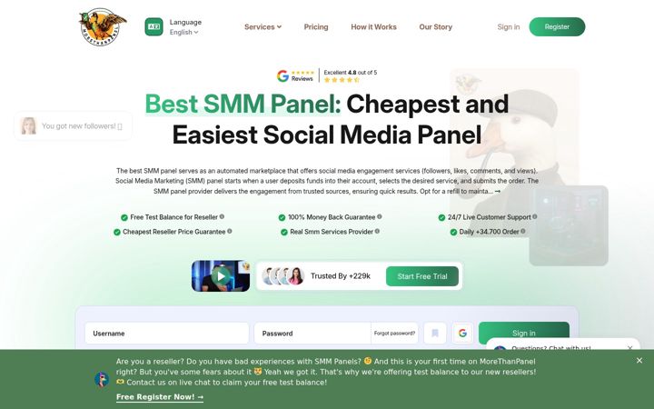 Screenshot of morethanpanel.com