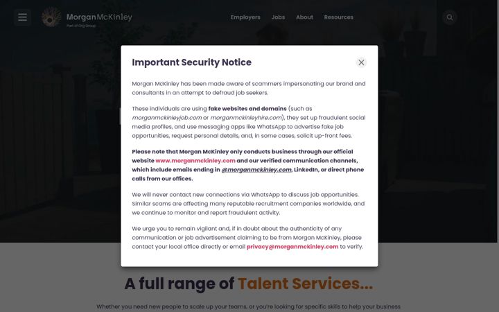 Screenshot of morganmckinley.com