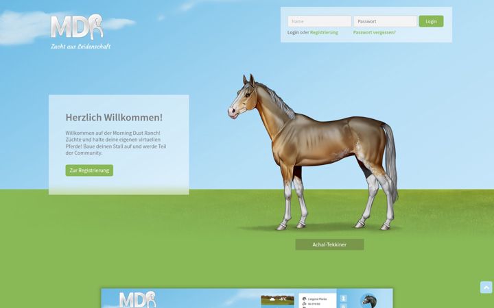 Screenshot of morning-dust-ranch.de