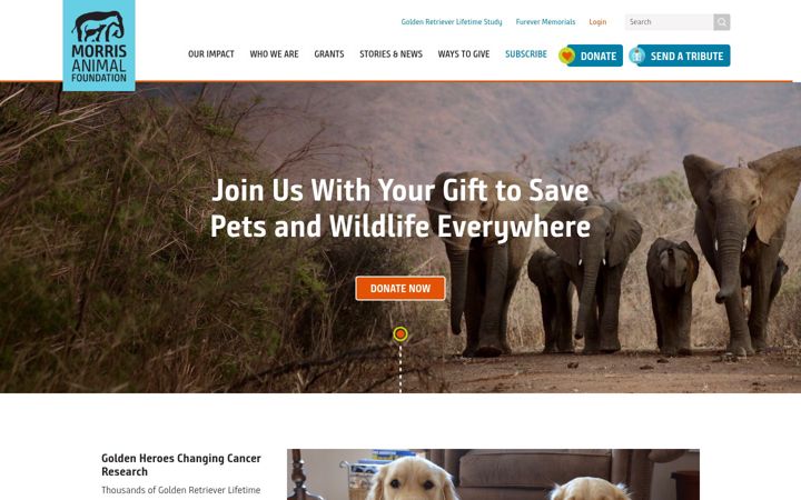 Screenshot of morrisanimalfoundation.org