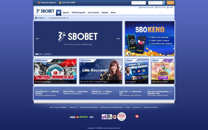 Skærmbillede af mousebin.com