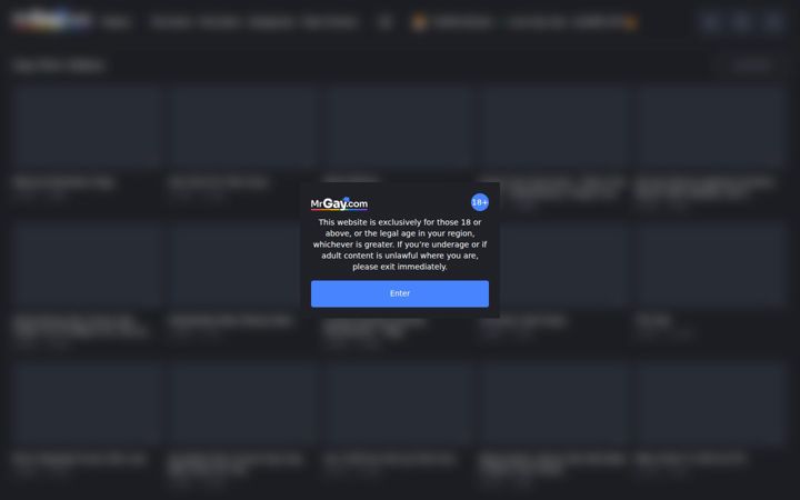 Screenshot of mrgay.tube