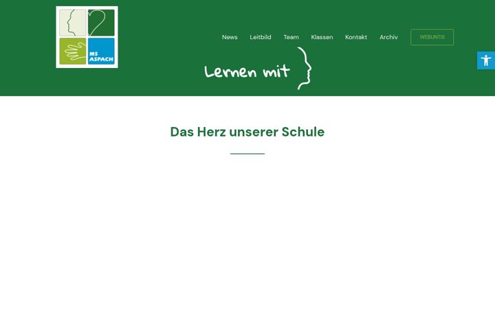 Screenshot stránky msaspach.at