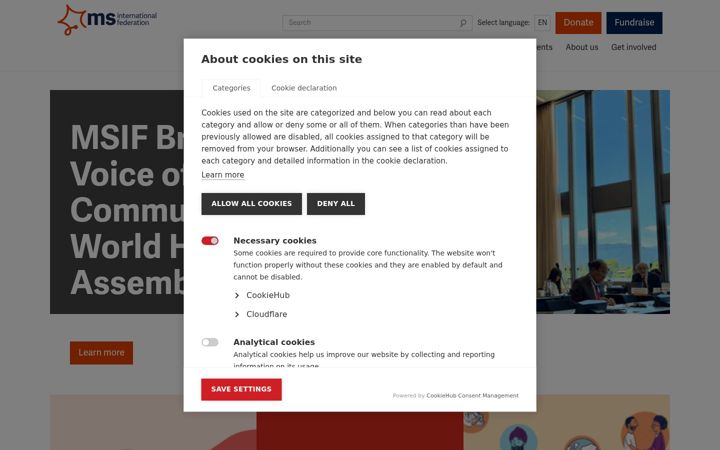 Screenshot of msif.org