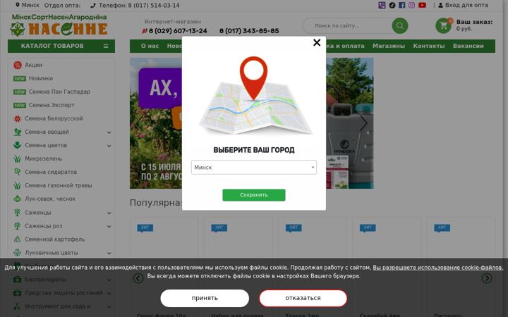 Screenshot of msso.by