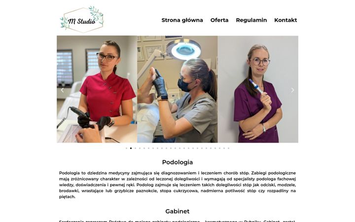 Snímek obrazovky mstudio.rybnik.pl