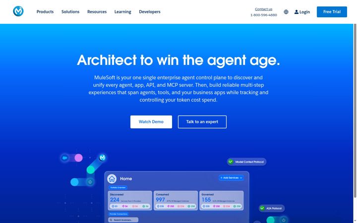 Screenshot ta' mulesoft.com