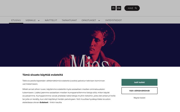 Skærmbillede af museomilavida.fi