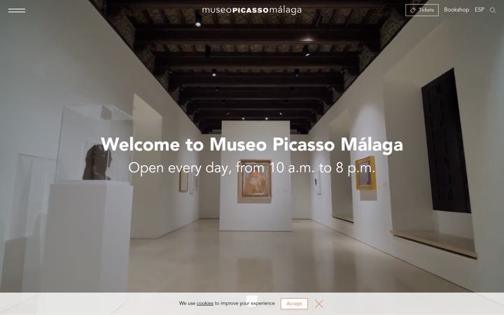 Screenshot of museopicassomalaga.org