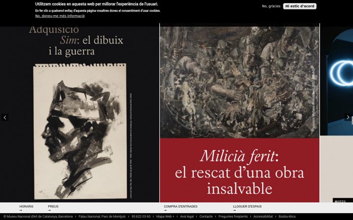 Screenshot of museunacional.cat