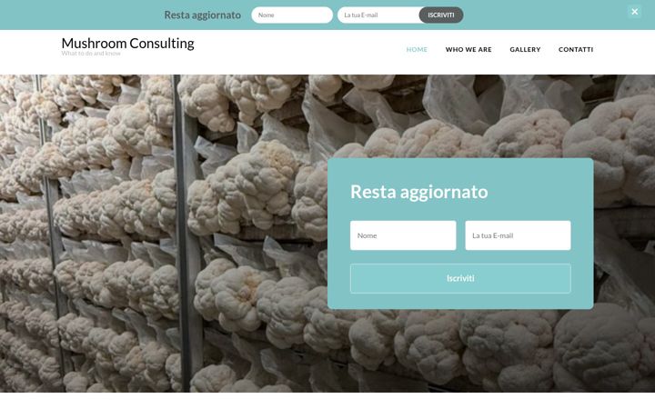 Képernyőkép: mushroomconsulting.it