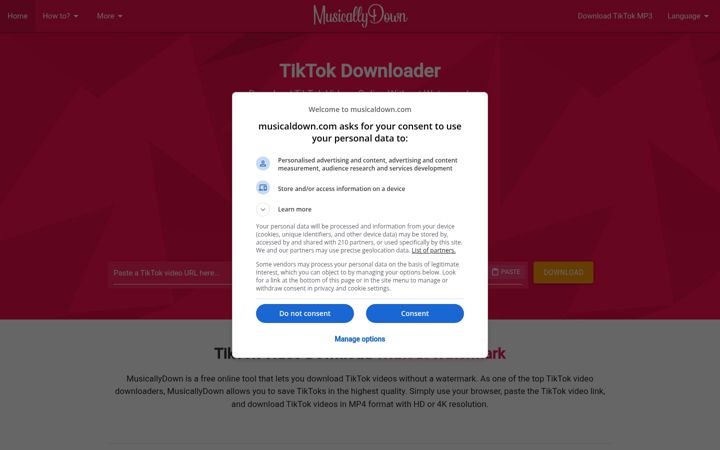 Ekrānuzņēmums no musicaldown.com