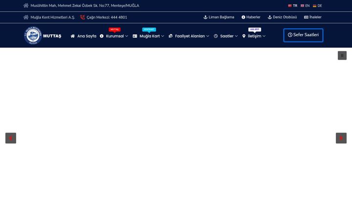 Screenshot of muttas.com.tr