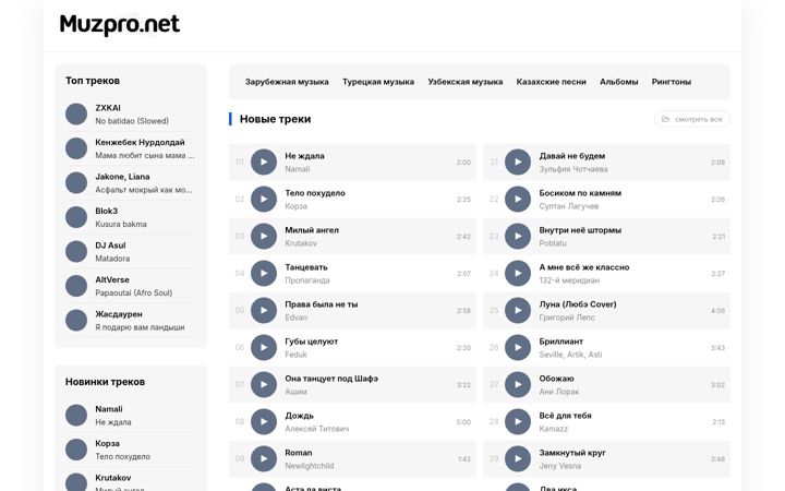 Screenshot of muzpro.net