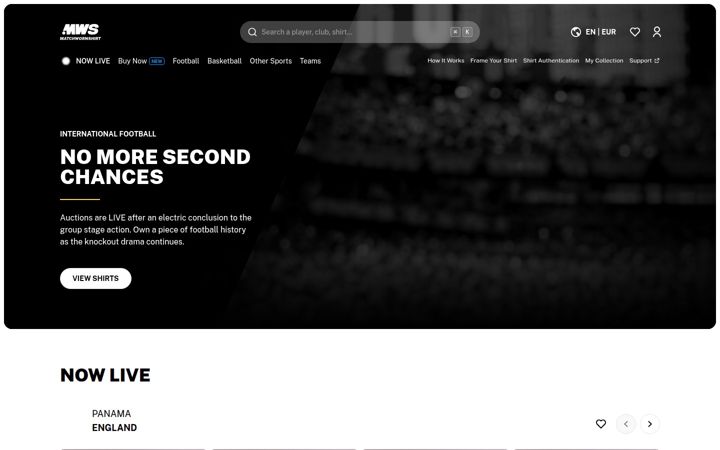 Screenshot of mws.com