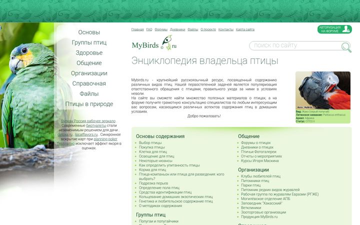 Screenshot of mybirds.ru