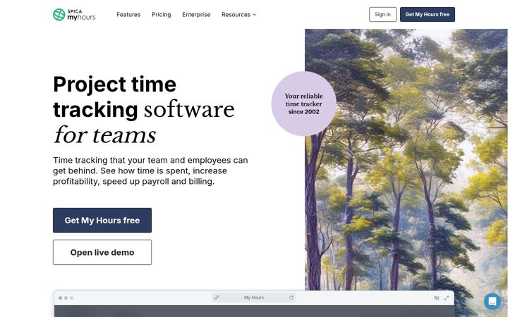 Screenshot of myhours.com