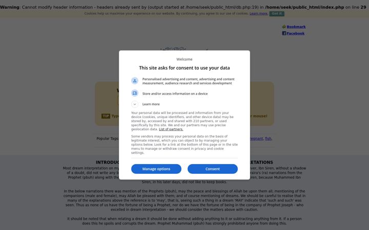 Screenshot of myislamicdream.com