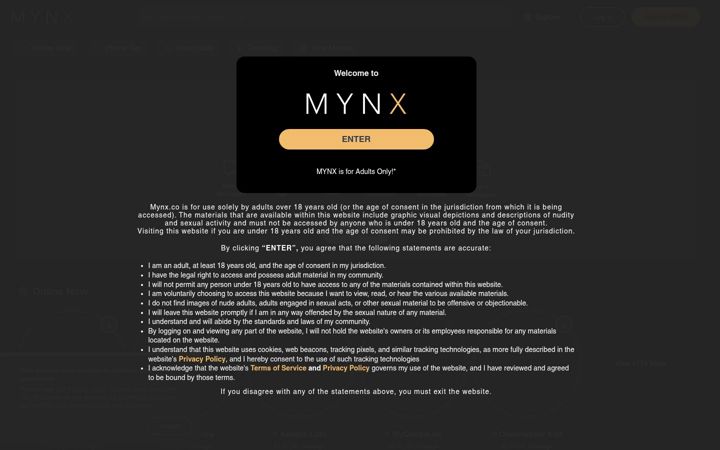 Skärmbild av mynx.co