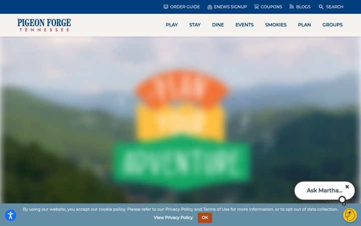Ekrano kopija mypigeonforge.com