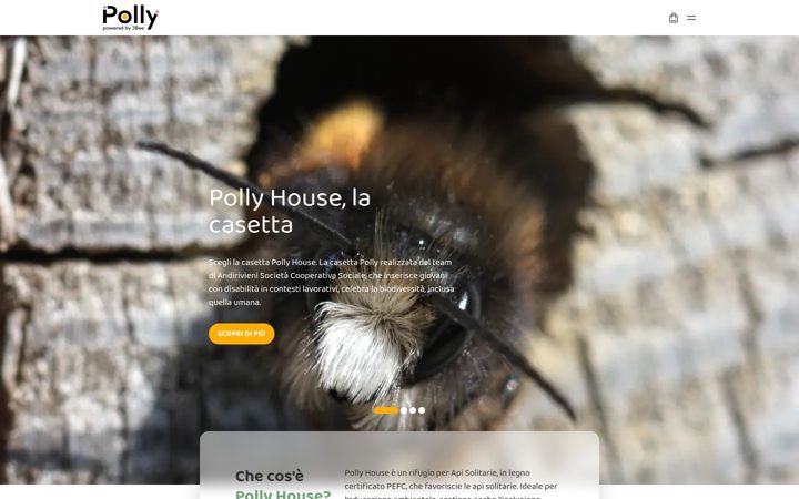Screenshot of mypolly.it