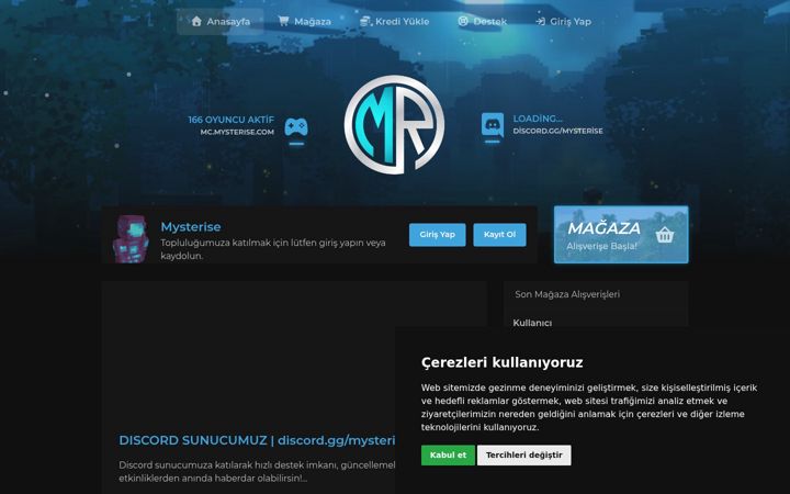 Screenshot of mysterise.com