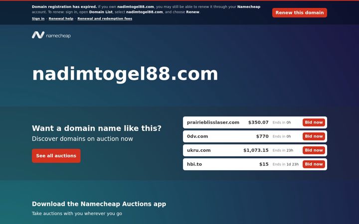 Zrzut ekranu nadimtogel88.com