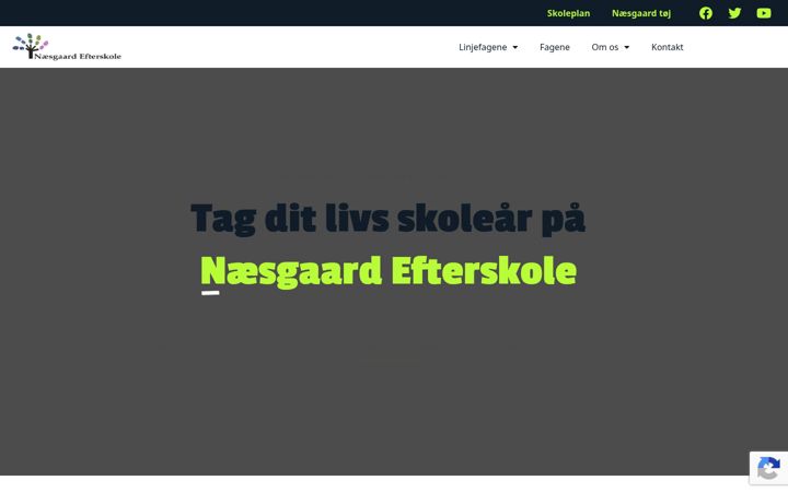 Skärmbild av naesgaard.dk