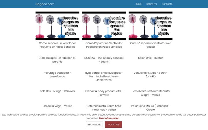 Screenshot ta' nagaca.com