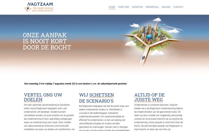 Screenshot of nagtzaamaccountants.nl