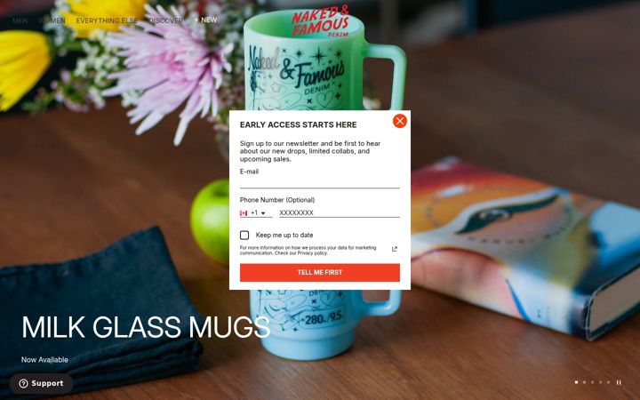 Screenshot von nakedandfamousdenim.com