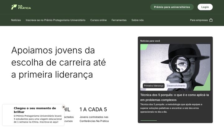 Screenshot of napratica.org.br