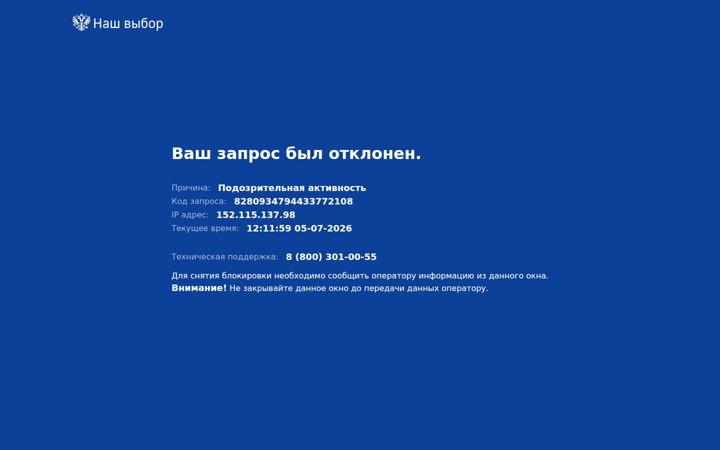 nashvybor.online