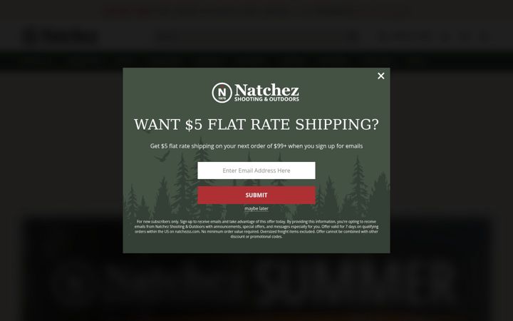 Screenshot of natchezss.com