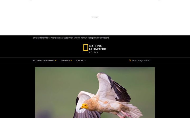 national-geographic.pl