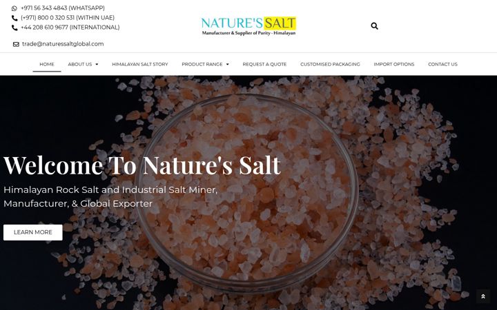 Captură de ecran a naturessaltglobal.com