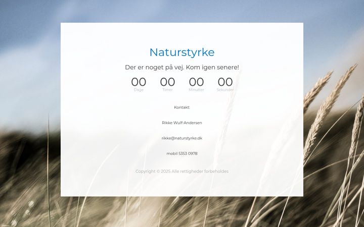 Screenshot of naturstyrke.dk